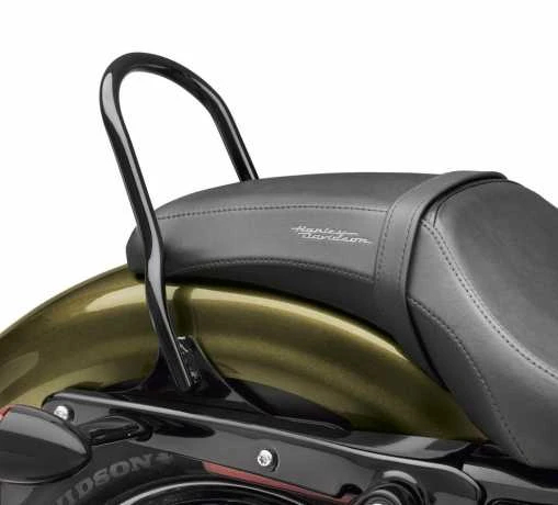 Harley Davidson Low-Profile Sissy Bar Bügel Rund Schwarz 2 Harley Davidson Low-Profile Sissy Bar Bügel Rund Schwarz – Bild 2